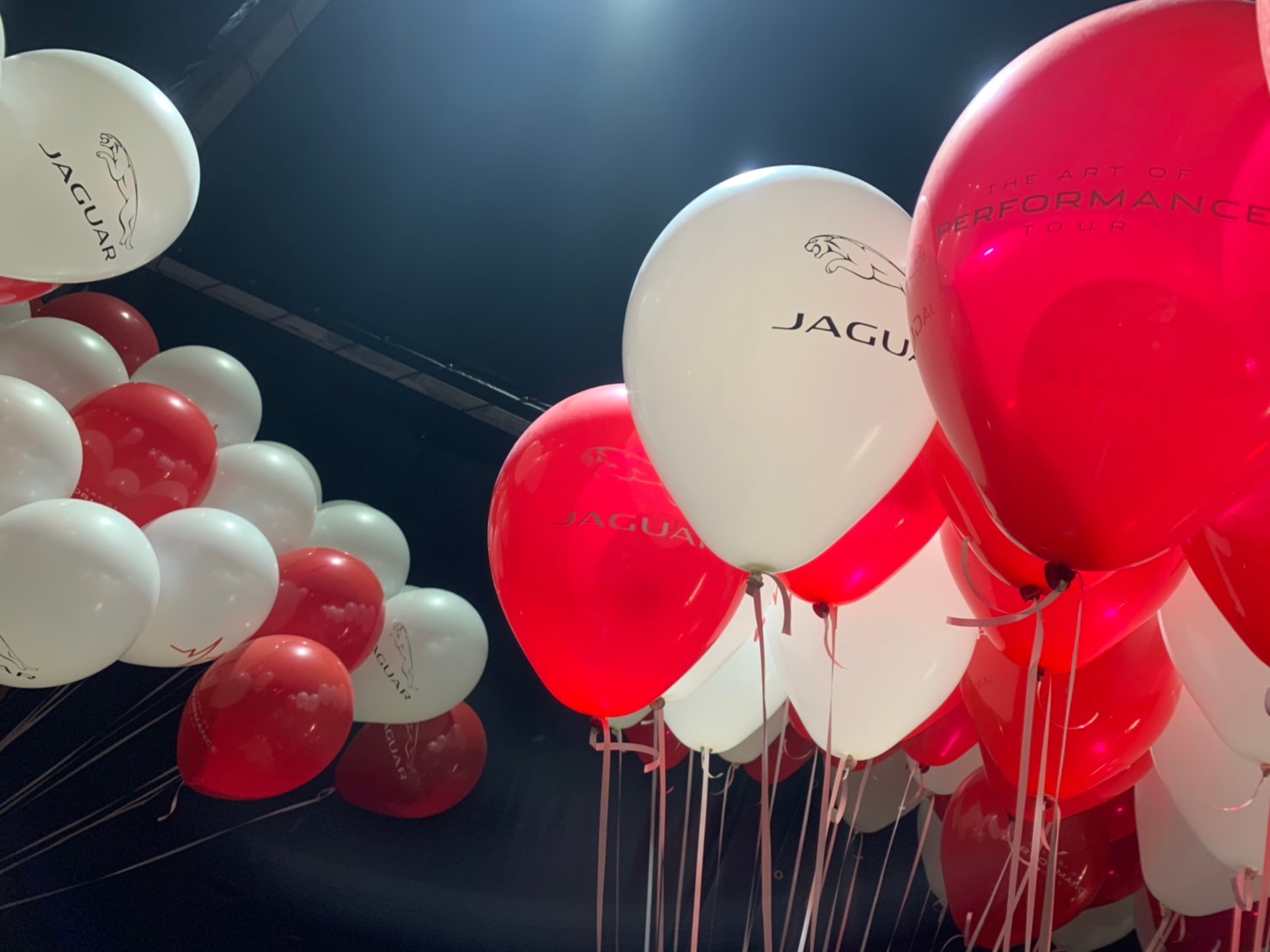 JAGUAR印刷球