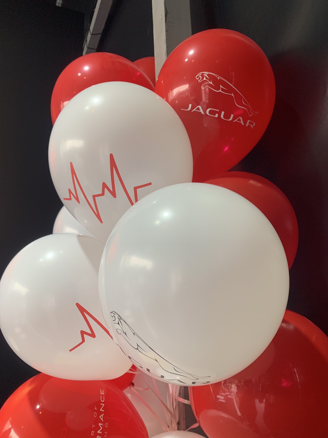 JAGUAR印刷球