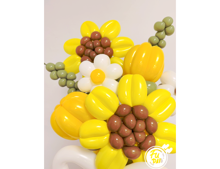 畢業系列｜太陽經典