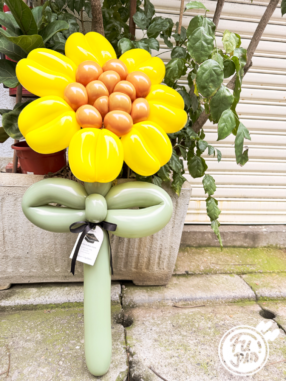 畢業系列｜大向日葵