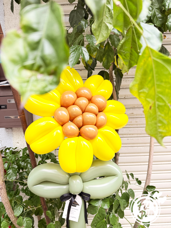 畢業系列｜大向日葵